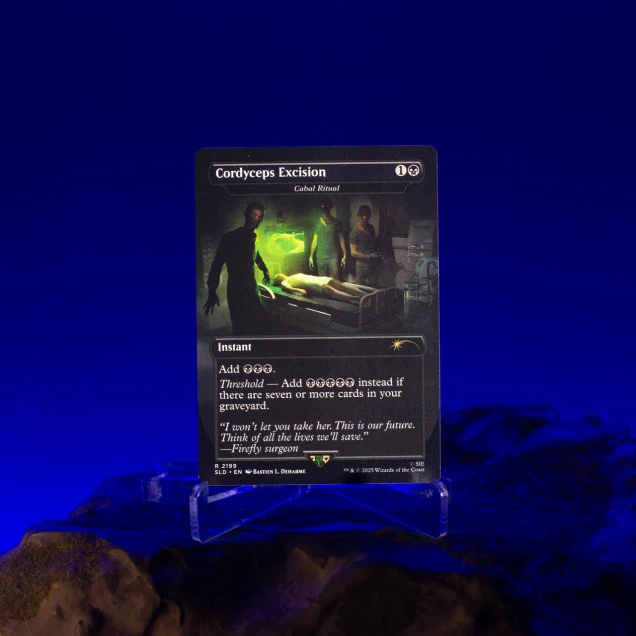 Magic: The Gathering — Secret Lair x PlayStation: The Last of Us (Part I) - Non-Foil | English